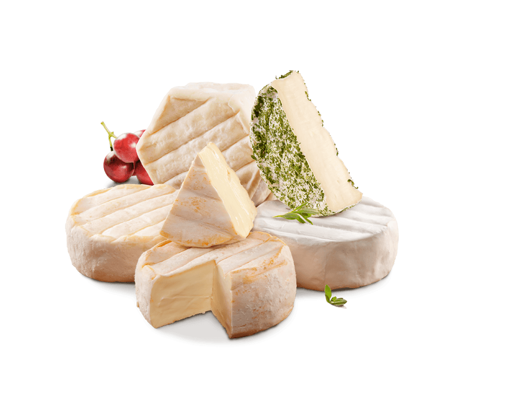 formaggi.png