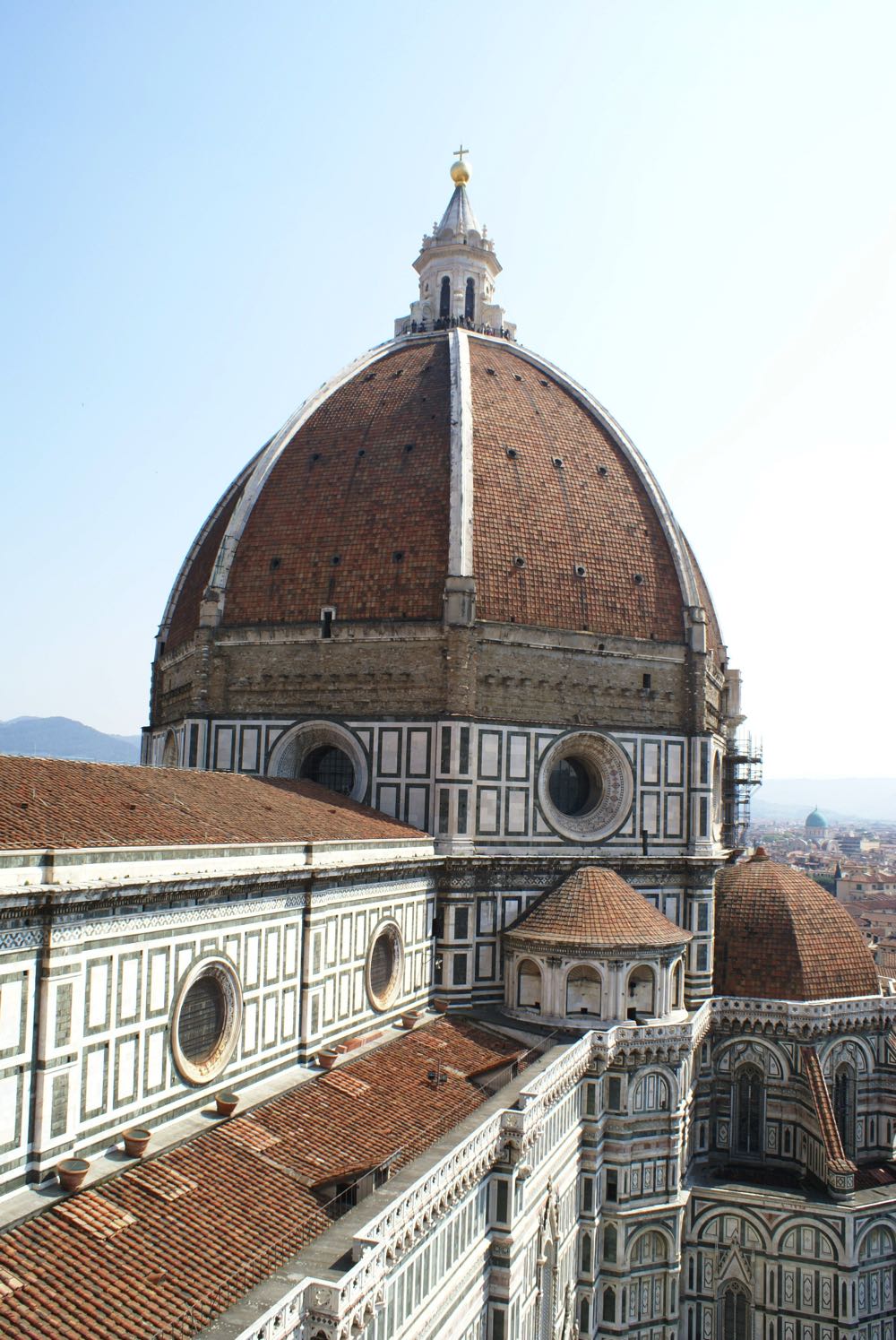 Cupola Duomo.jpg